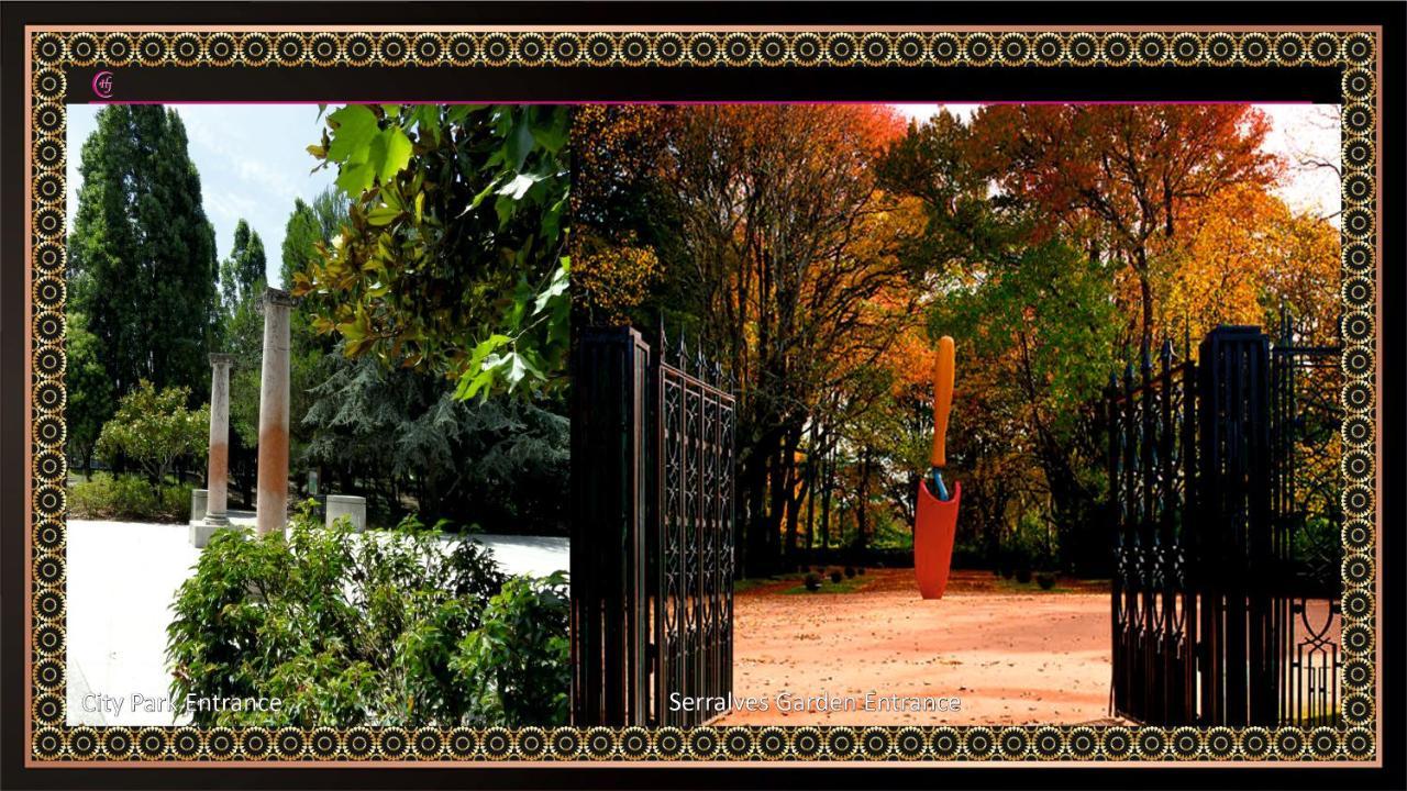 Hotel Jaguar - Airport To And Center And Vice-versa Is A Free And Continuous Shuttle Service From 7am To 8pm 4*